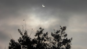 eclipsa-soare-1